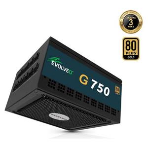 EVOLVEO G750 zdroj 750W, 80+ GOLD, ATX 3.1, PCIe 5.1, aPFC, 140mm ventilátor, modulární, záruka 3 roky, černý